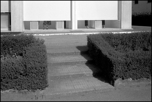 portfolio 2006