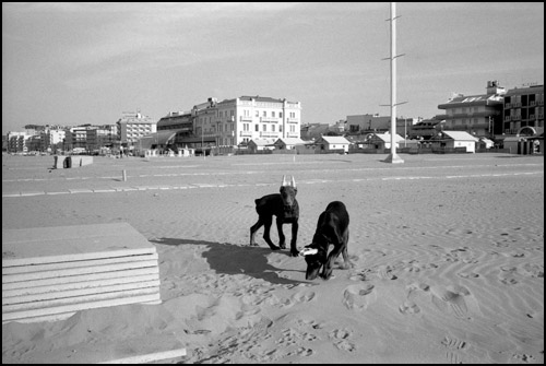 portfolio 2006