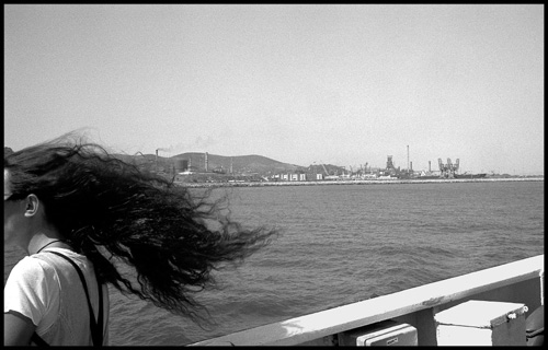 portfolio 2006