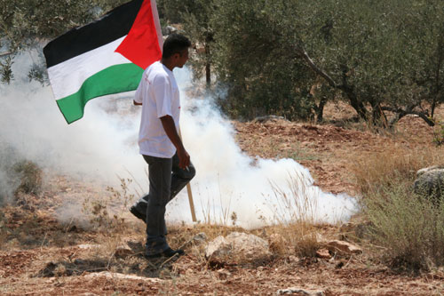 palestina 2007